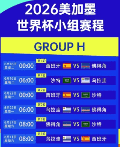2026世界杯比赛精彩瞬间